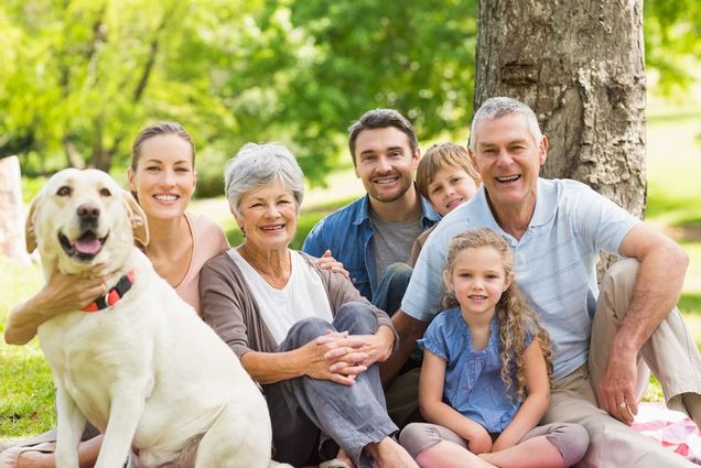 Extended family with their pet dog at park image-178